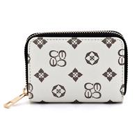 CS017 IVORY (IVTN)