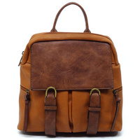 CMS046 BROWN