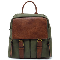 CMS046 OLIVE