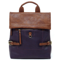 CMS048 PURPLE