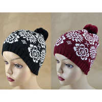 AAH386 KNIT BEANIE 12PCS SET