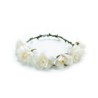 HN320062 IVORY