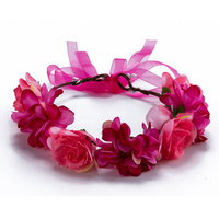 HN320068 FUCHSIA