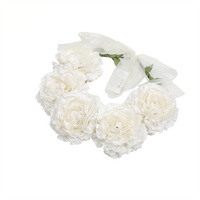 HN910001IVIV IVORY