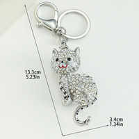 KY890037SVCL SILVER